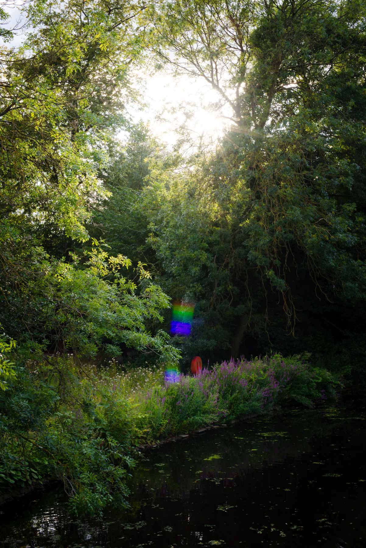 foliage_II